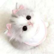 藍沢もえ 【➽2/5 今日のお礼日記💌】 夜這い＆イメクラ 妄想する女学生たち 難波校