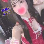 ヒメ日記 2025/12/03 14:55 投稿 うさぎ ZERO