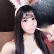 ヒメ日記 2025/12/06 16:10 投稿 うさぎ ZERO