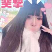 ヒメ日記 2025/12/08 09:37 投稿 うさぎ ZERO