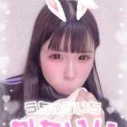 ヒメ日記 2025/12/09 13:01 投稿 うさぎ ZERO