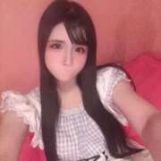 ヒメ日記 2025/12/19 15:29 投稿 うさぎ ZERO