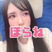 ヒメ日記 2025/12/19 17:26 投稿 うさぎ ZERO