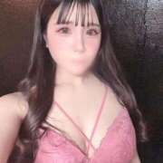 ヒメ日記 2026/02/28 14:09 投稿 うさぎ ZERO