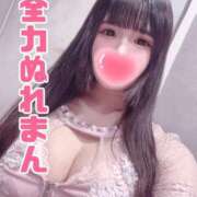 ヒメ日記 2026/04/09 10:44 投稿 うさぎ ZERO