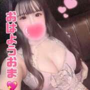 ヒメ日記 2026/04/18 07:56 投稿 うさぎ ZERO