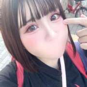 うさぎ 明日からいるぞ🔥 ZERO