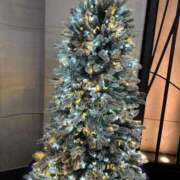 ヒメ日記 2025/12/24 08:08 投稿 陽菜乃(ひなの) PLUS十三店