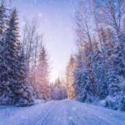 ヒメ日記 2025/12/29 06:08 投稿 陽菜乃(ひなの) PLUS十三店