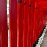 ヒメ日記 2025/12/31 17:58 投稿 陽菜乃(ひなの) PLUS十三店