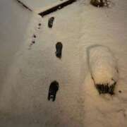 ヒメ日記 2026/01/12 19:08 投稿 陽菜乃(ひなの) PLUS十三店