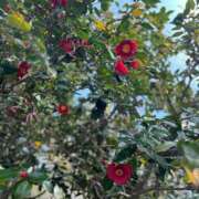 ヒメ日記 2026/02/04 22:28 投稿 陽菜乃(ひなの) PLUS十三店