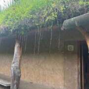 ヒメ日記 2026/02/05 18:18 投稿 陽菜乃(ひなの) PLUS十三店