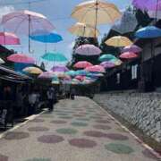 ヒメ日記 2026/02/14 10:06 投稿 陽菜乃(ひなの) PLUS十三店