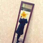 ヒメ日記 2026/02/18 08:30 投稿 陽菜乃(ひなの) PLUS十三店