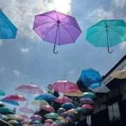 ヒメ日記 2026/02/24 21:19 投稿 陽菜乃(ひなの) PLUS十三店