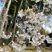 ヒメ日記 2026/03/12 14:18 投稿 陽菜乃(ひなの) PLUS十三店