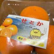 ヒメ日記 2026/04/03 06:48 投稿 陽菜乃(ひなの) PLUS十三店