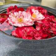 ヒメ日記 2026/04/05 09:08 投稿 陽菜乃(ひなの) PLUS十三店