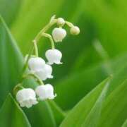 ヒメ日記 2026/06/10 07:18 投稿 陽菜乃(ひなの) PLUS十三店