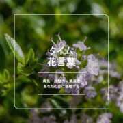 ヒメ日記 2026/06/18 07:18 投稿 陽菜乃(ひなの) PLUS十三店