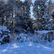 ヒメ日記 2026/01/23 09:51 投稿 まつり 船橋桃色の妻たち