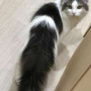 ヒメ日記 2026/01/27 07:39 投稿 まつり 船橋桃色の妻たち