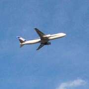 まつり 合言葉 船橋桃色の妻たち