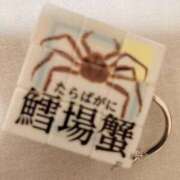 ヒメ日記 2026/03/29 11:19 投稿 まつり 船橋桃色の妻たち