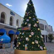 ヒメ日記 2025/12/10 06:26 投稿 あき 恋色 (コイイロ)