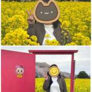 ヒメ日記 2026/04/01 21:48 投稿 根岸 ゆづ こあくまな熟女たち 千葉店（KOAKUMAグループ）