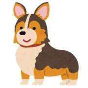 ヒメ日記 2025/12/14 11:26 投稿 るい 制服これくしょん