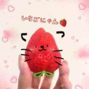 ヒメ日記 2026/02/25 01:26 投稿 るい 制服これくしょん