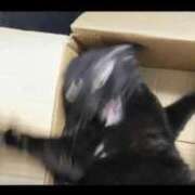 るい 可愛すぎるぅ！ 制服これくしょん