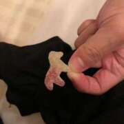 ヒメ日記 2025/12/21 10:39 投稿 めろ 諭吉専科