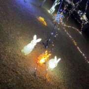 ヒメ日記 2025/12/27 10:28 投稿 めろ 諭吉専科