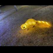 ヒメ日記 2025/12/27 11:36 投稿 めろ 諭吉専科