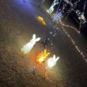 ヒメ日記 2025/12/29 17:50 投稿 めろ 諭吉専科