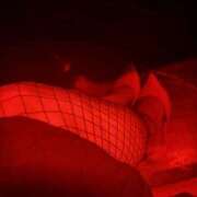 ヒメ日記 2025/12/09 12:16 投稿 ミカ 綺麗＆kirei