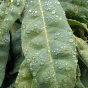 ヒメ日記 2025/12/25 10:56 投稿 はな 綺麗＆kirei