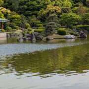 ヒメ日記 2026/01/15 12:01 投稿 はな 綺麗＆kirei