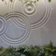 ヒメ日記 2026/01/28 11:35 投稿 はな 綺麗＆kirei