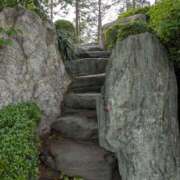 ヒメ日記 2026/02/19 12:11 投稿 はな 綺麗＆kirei