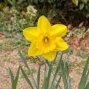 ヒメ日記 2026/03/19 12:35 投稿 はな 綺麗＆kirei