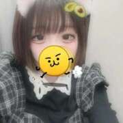 ヒメ日記 2025/12/14 17:21 投稿 のどか 今から乳首を犯しにいってもいいですか？大阪店