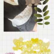 ヒメ日記 2026/03/08 22:01 投稿 あつこ 即アポマダム～名古屋店～