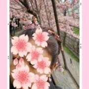 ヒメ日記 2026/03/26 12:59 投稿 あつこ 即アポマダム～名古屋店～