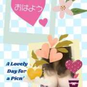 ヒメ日記 2026/04/07 07:51 投稿 あつこ 即アポマダム～名古屋店～