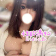 ヒメ日記 2025/12/17 12:32 投稿 じゅり Hip's-group越谷本店