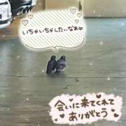 ヒメ日記 2026/01/29 18:02 投稿 じゅり Hip's-group越谷本店